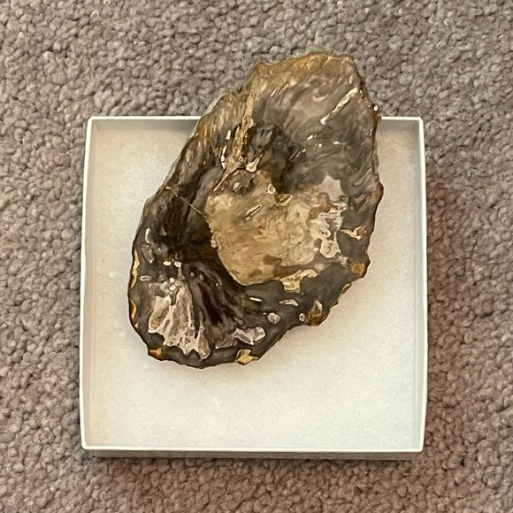 Petrified wood small slab fossil - Picture 2 of 6